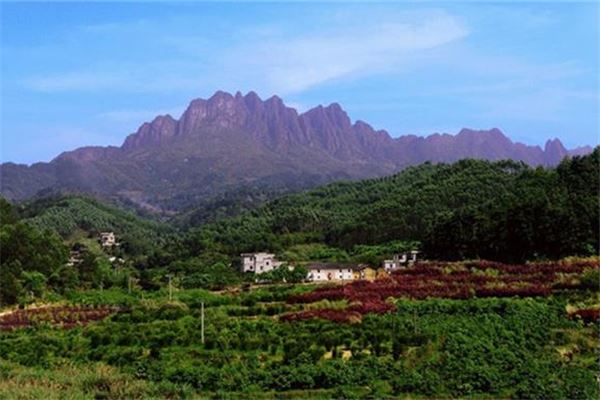 亚婆揽孙山