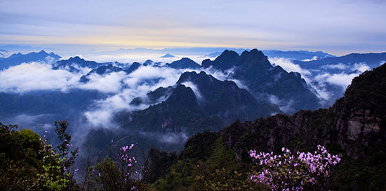 鹏山雾海