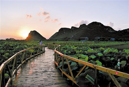 石井生态农业旅游区