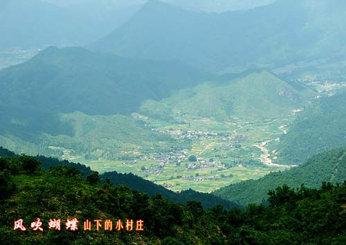 风吹蝴蝶山