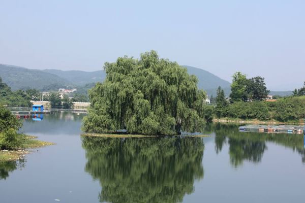 陆城风景区