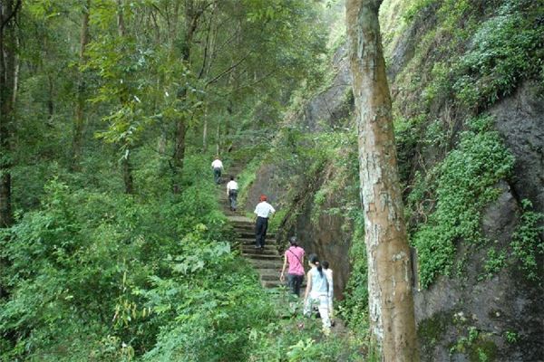 南万红椎林生态公园