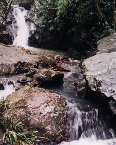 罗浮渡田河风景区