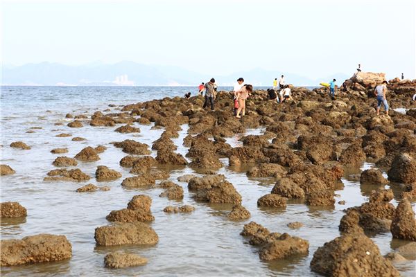 熊猫金海岸