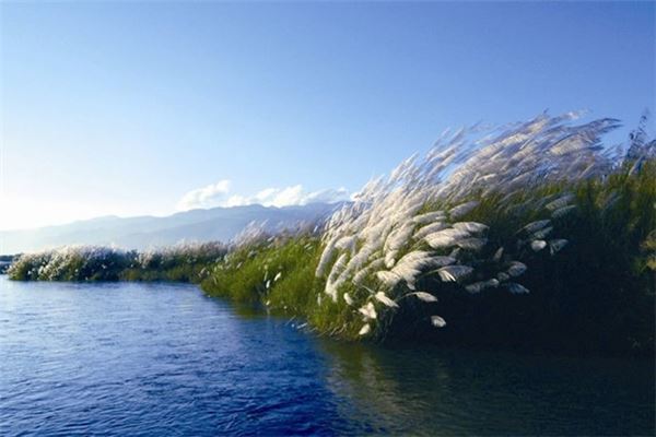 孔雀湖旅游区