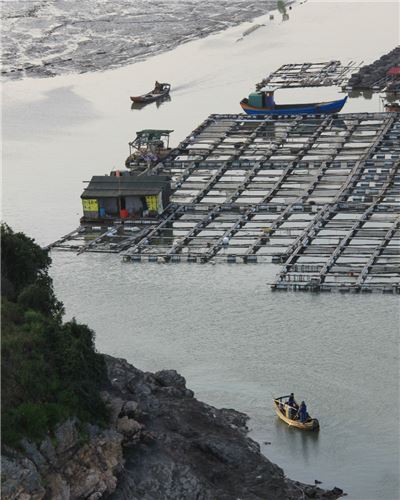 海上鱼村