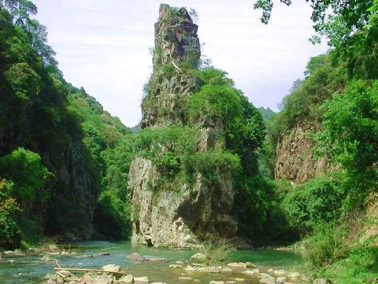 车八岭自然保护区