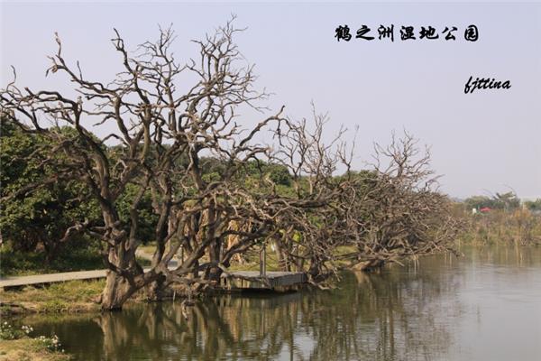 “鹤之洲”湿地公园