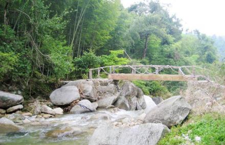 飞水寨南国天山大草园