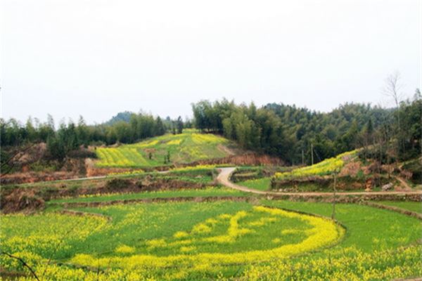 西施生态园