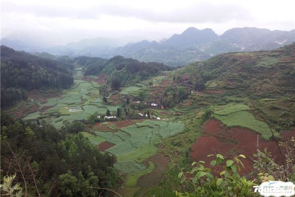 银盘山茶庄