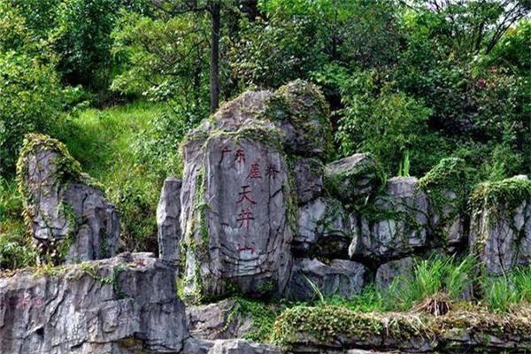 天井山森林公园