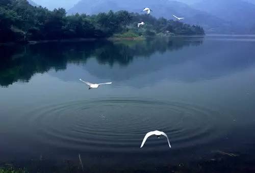 水府水利风景区