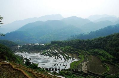 金紫峰