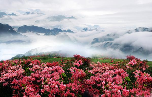 神农架老君山