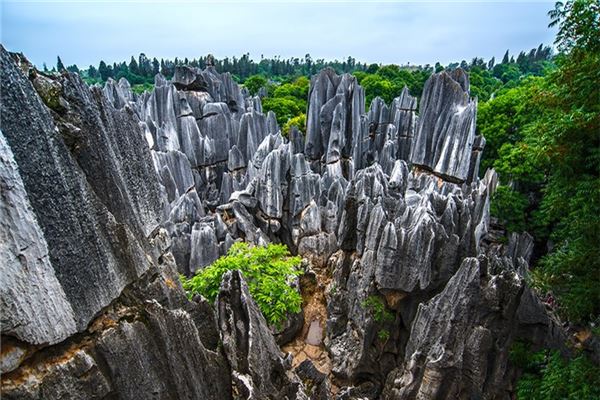 锣鼓圈岩溶石林