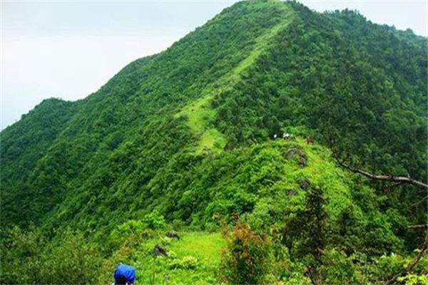 药姑山风景区