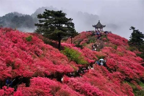 麻城龟山风景区