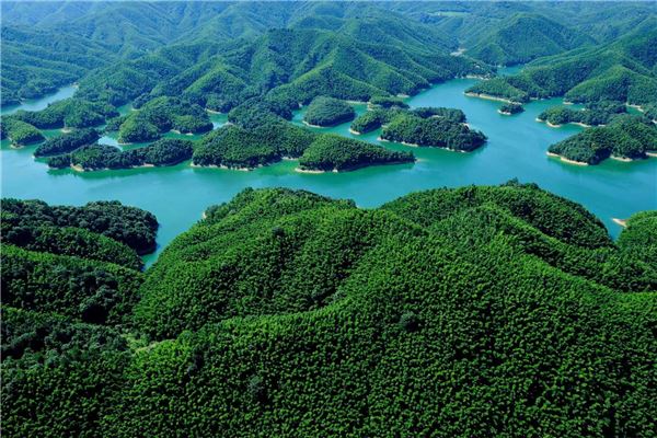 星星竹海风景区