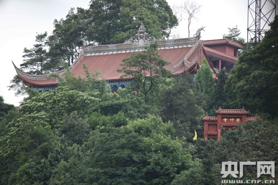 苦竹寺