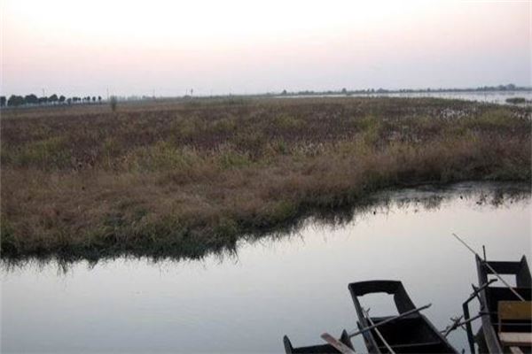 刁汊湖养殖基地