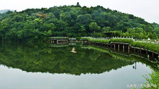 虎山水库游览区