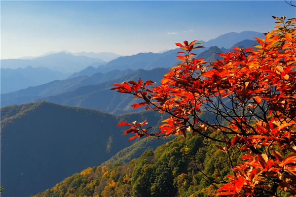 黄花岭景区