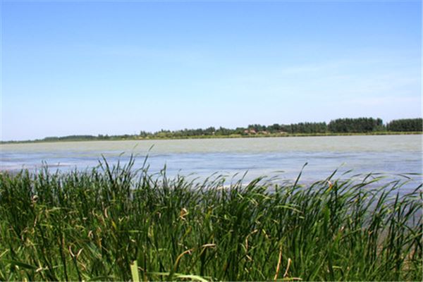 封丘青龙湖景区