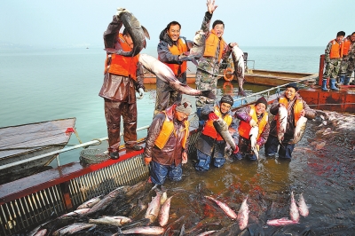 陆浑水库