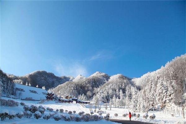 伏牛山滑雪场