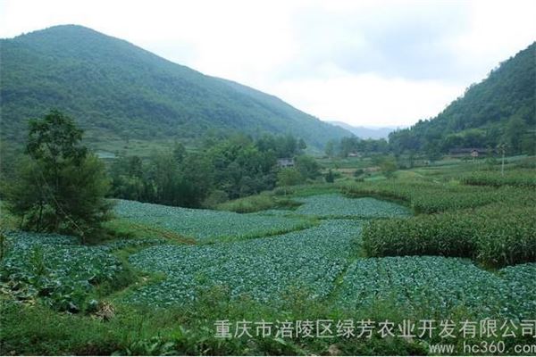 芳绿农业旅游示范点