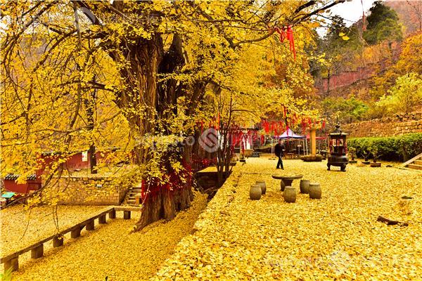 泰山玉泉寺