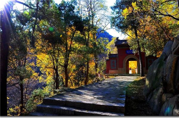 泰安玉泉寺