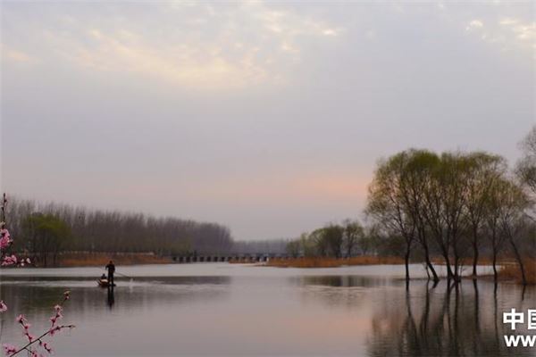 蟠龙河生态湿地