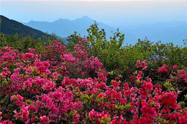 婺源五龙山