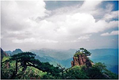 五指峰鹰盘山