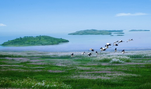 鄱阳湖湿地保护区