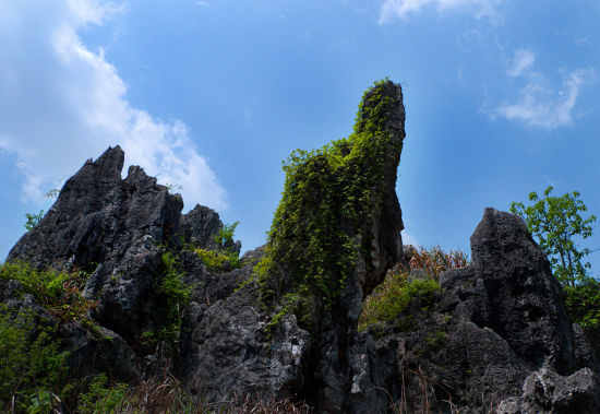 东岭石林