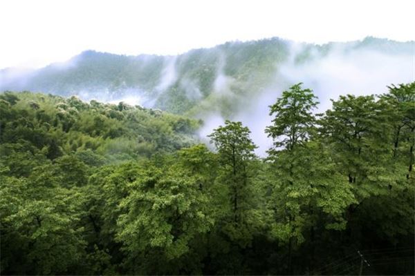 历居山