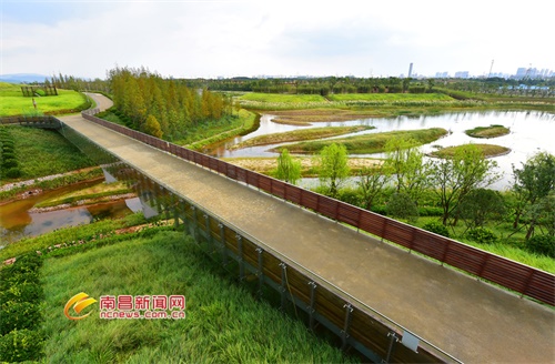 蒋巷生态农业与湿地