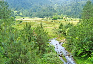 仙山牧场