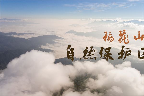 龙岩梅花山自然保护区