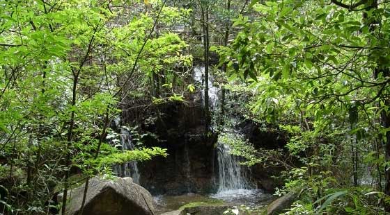 贡鸭山森林生态旅游区