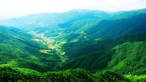 九阜山自然保护区