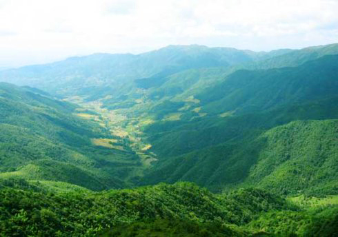 牙梳山自然保护区