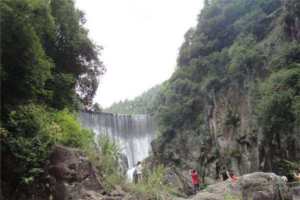 同安野山谷热带雨林