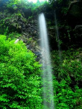 夏霖风景区