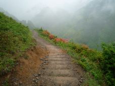 清凉峰自然保护区