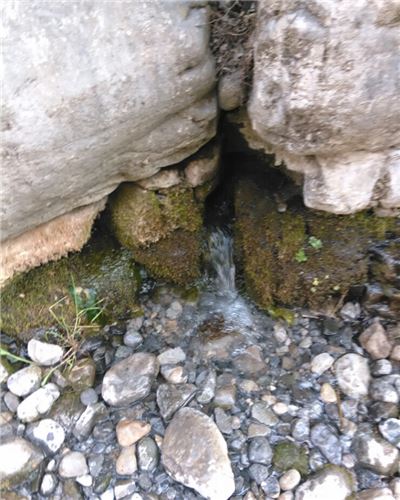 柳巷东西涧湿地