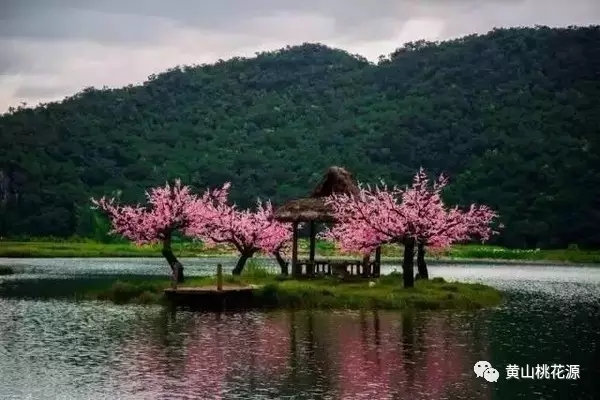 桃花峰